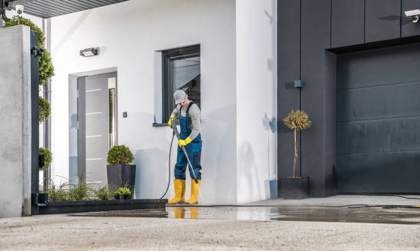 Best Animal Enclosure Cleaning  in Surfside, FL