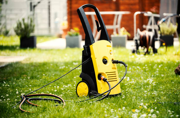 Animal Enclosure Cleaning in Surfside, FL